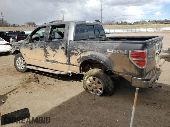 2013 Ford F-150 XL with VIN 1FTFW1EF3DFA22301, listed as a Copart auction lot 49437525 with Not Provided miles and Salvage Title. Bid and sale history available at DreamBid. Image 2.