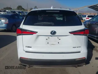 2019 Lexus NX 300 z VIN JTJYARBZ4K2145174, wystawiony jako IAAI lot #41278160 z przebiegiem 53 279 mil mil oraz . Historia ofert i sprzedaży dostępna na DreamBid. Obrazek 16.