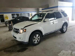 2010 Ford Escape Limited z VIN 1FMCU9EG4AKC43050, wystawiony jako Copart lot #60251495 z przebiegiem 174 550 mil mil oraz Szkoda całkowita • Salvage title. Historia ofert i sprzedaży dostępna na DreamBid. Obrazek 1.
