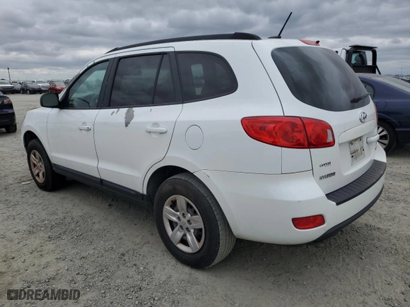 2009 Hyundai Santa Fe GLS with VIN 5NMSG13D79H243472, listed as a Copart auction lot 53403265 with 173,821 mi miles and Clean Title. Bid and sale history available at carsss.com. Image 2.