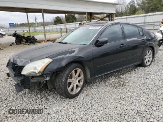 2008 Nissan Maxima SE with VIN 1N4BA41E88C804182, listed as a Copart auction lot 80940454 with Not provided miles and Salvage title. Bid and sale history available at DreamBid. Image 1.
