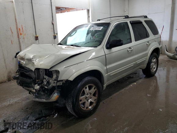 2005 Ford Escape Limited with VIN 1FMYU04145KA78041, listed as a Copart auction lot 70222184 with 113,943 mi miles and Salvage Title. Bid and sale history available at carsss.com. Image 1.