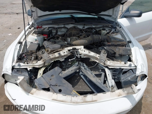 2009 Ford Mustang with VIN 1ZVHT84N595112837, listed as a IAAI auction lot 42383859 with 146,605 mi miles and . Bid and sale history available at DreamBid. Image 10.
