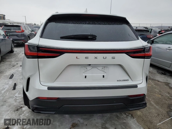 2024 Lexus NX 250 with VIN 2T2ADCAZ6RC010487, listed as a Copart auction lot 42030835 with 42,164 mi miles and Salvage title. Bid and sale history available at DreamBid. Image 6.