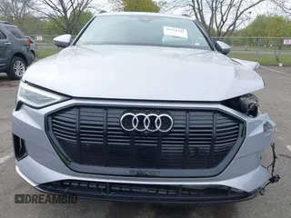 2022 Audi e-tron Premium z VIN WA1AAAGE3NB033122, wystawiony jako IAAI lot #42081343 z przebiegiem 36 171 mil mil oraz . Historia ofert i sprzedaży dostępna na DreamBid. Obrazek 12.