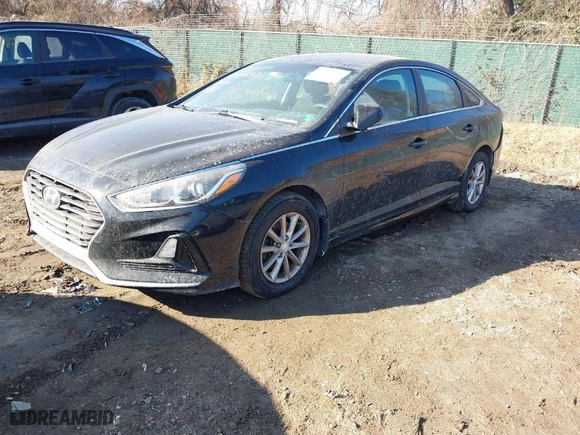 2019 Hyundai Sonata SE with VIN 5NPE24AF9KH755681, listed as a IAAI auction lot 41456521 with 128,345 mi miles. Bid and sale history available at carsss.com. Image 2.