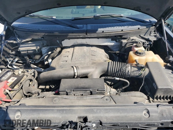 2013 Ford F-150 XL with VIN 1FTFW1ET8DKE61054, listed as a Copart auction lot 64204095 with 124,924 mi miles and Salvage title. Bid and sale history available at DreamBid. Image 11.
