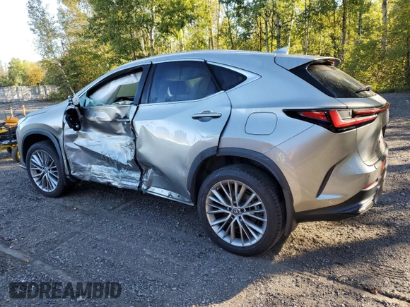2023 Lexus NX with VIN 2T2GKCEZXPC012007, listed as a Copart auction lot 73273994 with 20,893 mi miles and Salvage Title. Bid and sale history available at carsss.com. Image 2.