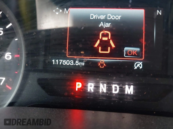 2019 Ford F-150 XL with VIN 1FTEW1EP3KFB61412, listed as a IAAI auction lot 42242393 with 117,503 mi miles and . Bid and sale history available at DreamBid. Image 16.