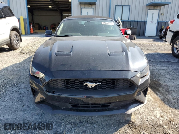 2019 Ford Mustang EcoBoost with VIN 1FATP8UH9K5148747, listed as a Copart auction lot 59944935 with 101,075 mi miles and Salvage title. Bid and sale history available at DreamBid. Image 5.