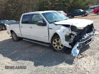 2013 Ford F-150 XL with VIN 1FTFW1CT4DFB15983, listed as a IAAI auction lot 41357017 with 203,996 mi miles and . Bid and sale history available at carsss.com. Image 1.