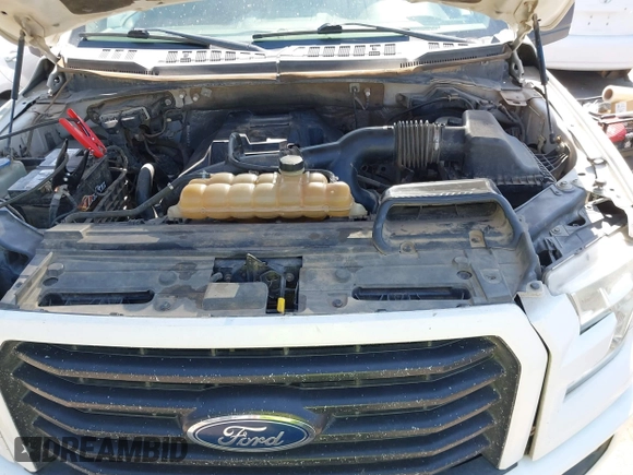 2015 Ford F-150 XLT with VIN 1FTEW1EP0FFA16253, listed as a IAAI auction lot 41852006 with 313,018 mi miles. Bid and sale history available at carsss.com. Image 10.