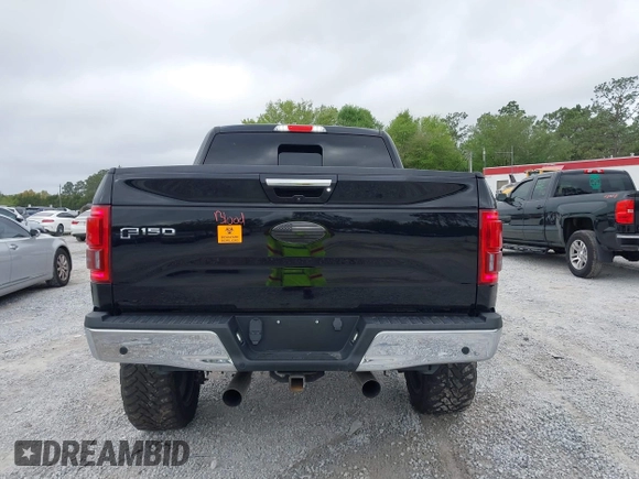 2017 Ford F-150 XL with VIN 1FTEW1EG6HFB95370, listed as a IAAI auction lot 41961749 with 73,537 mi miles. Bid and sale history available at carsss.com. Image 16.
