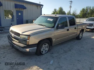 2005 Chevrolet Silverado 1500 LS with VIN 2GCEC13T051177393, listed as a Copart auction lot 61925975 with Not provided miles and Salvage title. Bid and sale history available at DreamBid. Image 1.