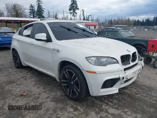 2010 BMW X6 M with VIN 5YMGZ0C52ALK13325, listed as a IAAI auction lot 40819581 with 134,282 mi miles. Bid and sale history available at carsss.com. Image 1.