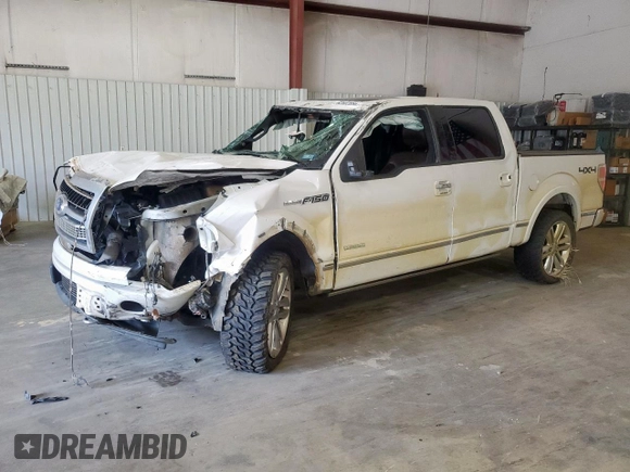 2012 Ford F-150 XL with VIN 1FTFW1ETXCFC76351, listed as a Copart auction lot 62602085 with 224,219 mi miles and Salvage title. Bid and sale history available at DreamBid. Image 1.