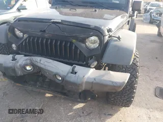 2017 Jeep Wrangler Unlimited Sport with VIN 1C4BJWDG0HL528695, listed as a IAAI auction lot 41229124 with 160,410 mi miles. Bid and sale history available at carsss.com. Image 6.
