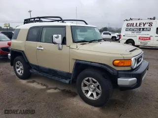 2014 Toyota FJ Cruiser with VIN JTEBU4BF8EK179580, listed as a Copart auction lot 43576235 with 161,413 mi miles and Salvage Title. Bid and sale history available at carsss.com. Image 4.