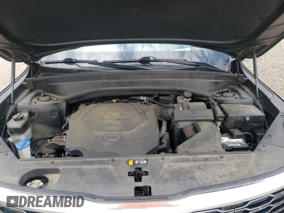2020 Kia Telluride SX with VIN 5XYP5DHC6LG046677, listed as a Copart auction lot 57827335 with 116,164 mi miles and Salvage title. Bid and sale history available at DreamBid. Image 12.