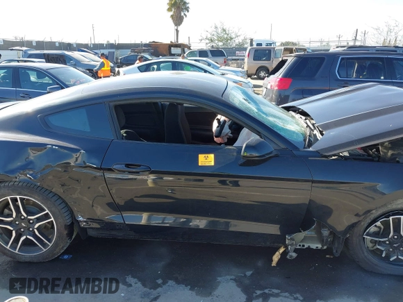 2017 Ford Mustang V6 with VIN 1FA6P8AM0H5330635, listed as a IAAI auction lot 41825651 with Not Provided miles and . Bid and sale history available at carsss.com. Image 13.