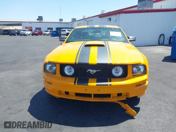 2008 Ford Mustang GT Deluxe with VIN 1ZVHT82H985189609, listed as a IAAI auction lot 42025596 with Not Provided miles and . Bid and sale history available at carsss.com. Image 11.