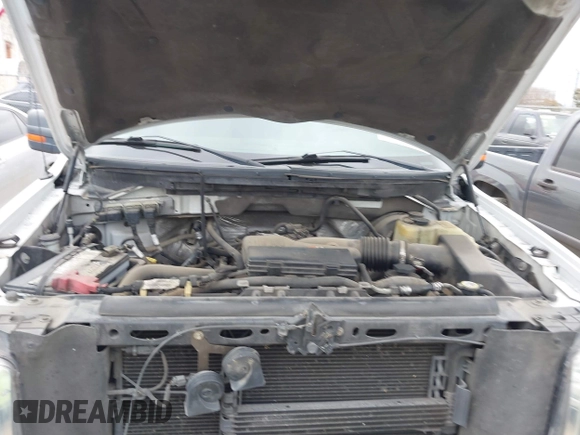 2009 Ford F-150 XL with VIN 1FTRF12W99KB75071, listed as a IAAI auction lot 41497370 with 154,264 mi miles and . Bid and sale history available at DreamBid. Image 10.