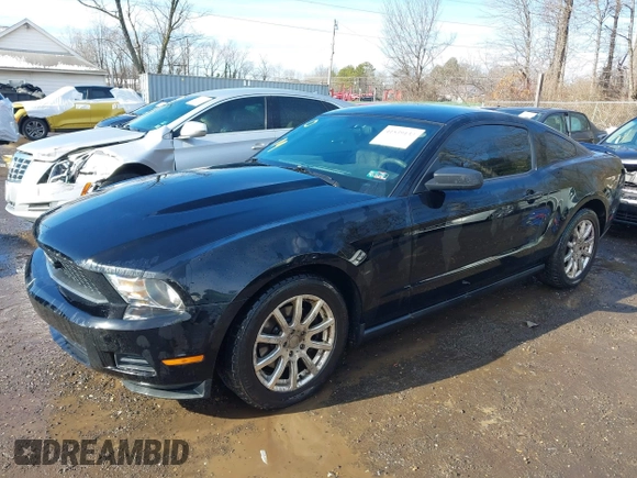 2011 Ford Mustang V6 with VIN 1ZVBP8AM5B5150824, listed as a IAAI auction lot 41539133 with 239,148 mi miles and . Bid and sale history available at carsss.com. Image 2.