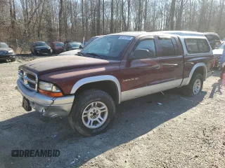 2002 Dodge Dakota SLT with VIN 1B7HG48N82S536711, listed as a Copart auction lot 48142485 with 0 mi miles and Salvage Title. Bid and sale history available at carsss.com. Image 1.