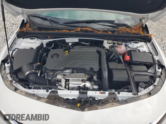 2024 Chevrolet Malibu LS with VIN 1G1ZC5ST9RF210134, listed as a Copart auction lot 79671434 with Not Provided miles and Salvage Title. Bid and sale history available at DreamBid. Image 11.