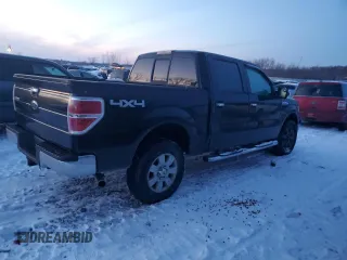 2010 Ford F-150 XL with VIN 1FTFW1EV9AFA55371, listed as a Copart auction lot 84890764 with Not Provided miles and Clean Title. Bid and sale history available at carsss.com. Image 3.