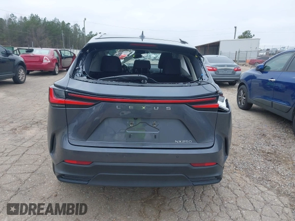 2024 Lexus NX 250 Premium with VIN JTJGDCAZ5R2014024, listed as a IAAI auction lot 41221211 with Not Provided miles and . Bid and sale history available at DreamBid. Image 15.