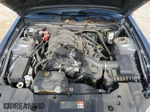 2014 Ford Mustang V6 с VIN 1ZVBP8AM4E5282445, выставлен на аукционе Copart как лот 55943745 с пробегом 114 255 миль миль и Списание • Salvage title. История ставок и продаж доступна на DreamBid. Изображение 11.