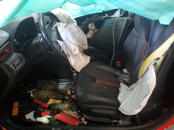 2019 Hyundai Veloster Turbo R-Spec with VIN KMHTH6AB8KU013806, listed as a Copart auction lot 67036063 with 15,599 mi miles. Bid and sale history available at carsss.com. Image 7.