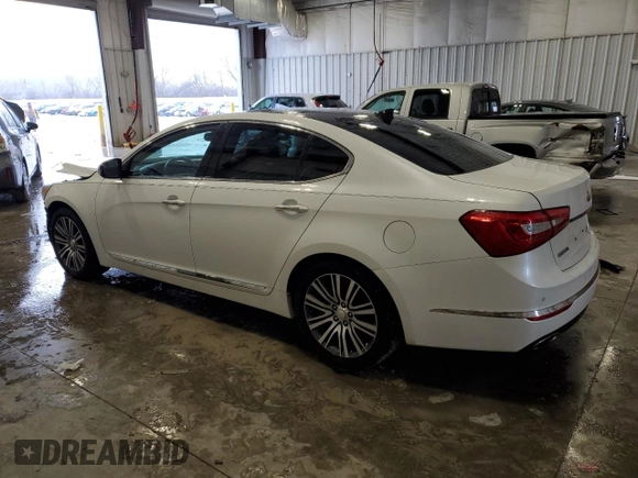 2014 Kia Cadenza Premium with VIN KNALN4D77E5148540, listed as a Copart auction lot 47878235 with 135,058 mi miles and Non Repairable. Bid and sale history available at carsss.com. Image 2.