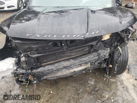 2017 Ford Explorer Sport with VIN 1FM5K8GT9HGB38228, listed as a Copart auction lot 44203005 with Not Provided miles and Salvage Title. Bid and sale history available at carsss.com. Image 12.
