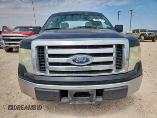2010 Ford F-150 XL with VIN 1FTEX1C89AFC65751, listed as a Copart auction lot 60887175 with 189,616 mi miles and Clean title. Bid and sale history available at DreamBid. Image 5.