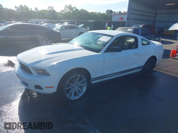 2010 Ford Mustang V6 with VIN 1ZVBP8AN5A5131407, listed as a IAAI auction lot 42168094 with 231,547 mi miles and . Bid and sale history available at DreamBid. Image 2.
