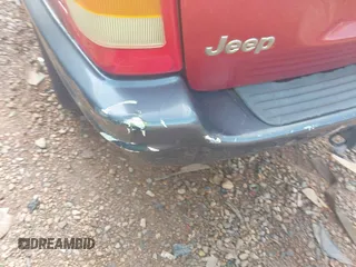 2004 Jeep Grand Cherokee Laredo with VIN 1J4GW48S34C419596, listed as a IAAI auction lot 42515494 with 276,196 mi miles and . Bid and sale history available at DreamBid. Image 6.