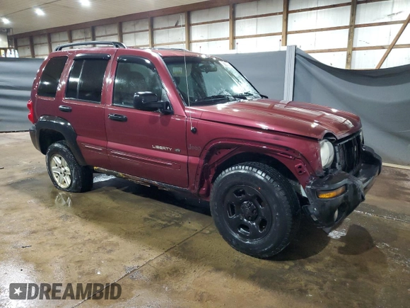 2002 Jeep Liberty Limited with VIN 1J4GL58K62W358660, listed as a Copart auction lot 61719985 with 195,873 mi miles and Salvage title. Bid and sale history available at DreamBid. Image 4.