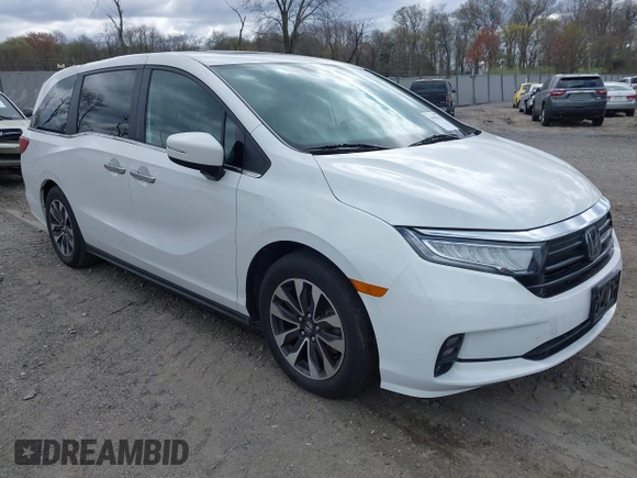 2022 Honda Odyssey EX-L с VIN 5FNRL6H74NB048872, выставлен на аукционе IAAI как лот 41983115 с пробегом 37 174 миль миль и . История ставок и продаж доступна на DreamBid. Изображение 1.
