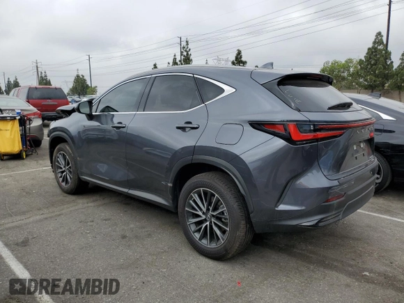 2023 Lexus NX with VIN JTJAKCEZ3P5007686, listed as a Copart auction lot 56411773 with 9,169 mi miles. Bid and sale history available at carsss.com. Image 2.
