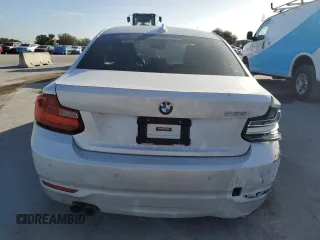 2015 BMW 2 Series 228i with VIN WBA1F5C59FV257321, listed as a Copart auction lot 80915464 with 113,776 mi miles and Salvage title. Bid and sale history available at DreamBid. Image 6.