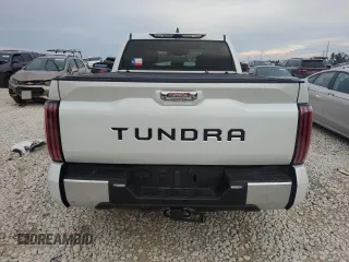 2022 Toyota Tundra Limited with VIN 5TFJA5ABXNX009687, listed as a Copart auction lot 83356634 with 19,110 mi miles and Salvage title. Bid and sale history available at DreamBid. Image 6.