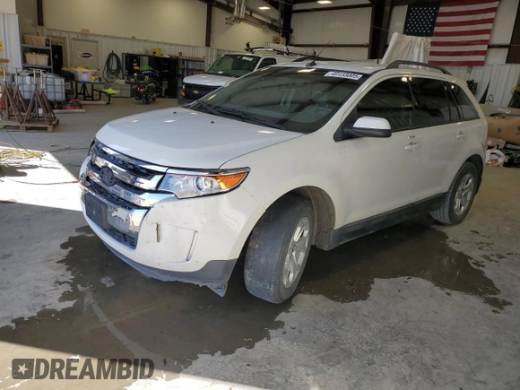 2013 Ford Edge SEL with VIN 2FMDK3J92DBB42232, listed as a Copart auction lot 49133005 with 204,875 mi miles and Salvage Title. Bid and sale history available at carsss.com. Image 1.