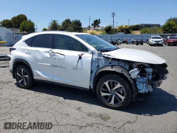 2021 Lexus NX 300h with VIN JTJGJRDZ8M5012895, listed as a Copart auction lot 62593635 with 41,210 mi miles and Salvage title. Bid and sale history available at DreamBid. Image 4.