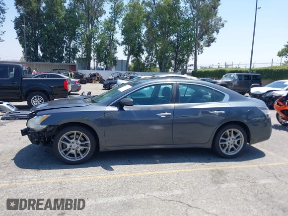 2013 Nissan Maxima S with VIN 1N4AA5AP5DC843874, listed as a IAAI auction lot 42495096 with 250,093 mi miles and . Bid and sale history available at DreamBid. Image 15.