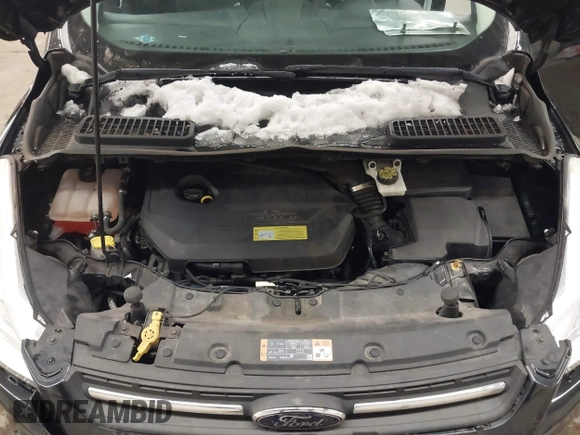 2014 Ford Escape SE with VIN 1FMCU0GX4EUC50972, listed as a IAAI auction lot 41953559 with 134,936 mi miles. Bid and sale history available at carsss.com. Image 10.