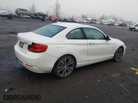2018 BMW 2 Series 230i with VIN WBA2J1C58JVD09478, listed as a Copart auction lot 40318253 with 45,389 mi miles. Bid and sale history available at carsss.com. Image 3.