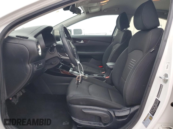 2019 Kia Forte S with VIN 3KPF34AD3KE064375, listed as a Copart auction lot 44607445 with 52,124 mi miles and Clean Title. Bid and sale history available at carsss.com. Image 7.