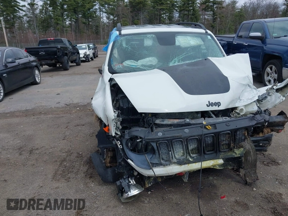 2016 Jeep Renegade Trailhawk with VIN ZACCJBCT4GPD12242, listed as a IAAI auction lot 42035366 with 112,429 mi miles and . Bid and sale history available at DreamBid. Image 18.